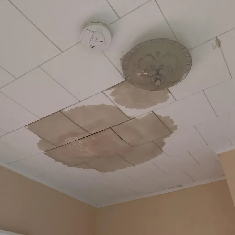 Ceiling Water Damage Repair in Highland Village, TX